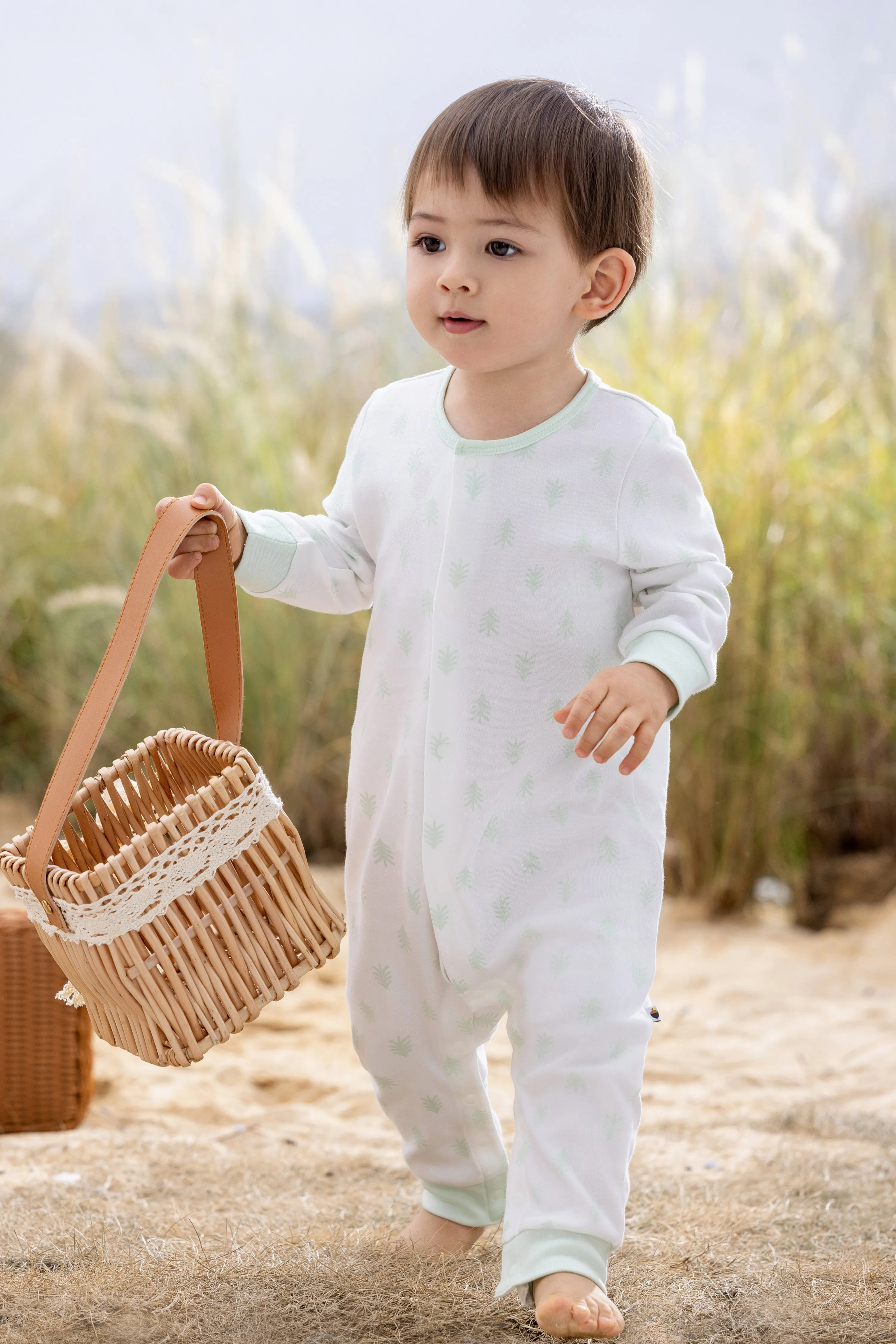 Vauva BBNS - Baby Anti-bacterial Organic Cotton Long-sleeved Romper 2-pack (Green/Strips)